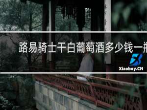 路易骑士干白葡萄酒多少钱一瓶
