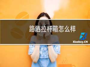 路洒拉杆箱怎么样
