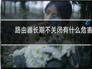 路由器长期不关闭有什么危害