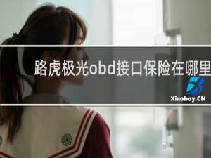 路虎极光obd接口保险在哪里