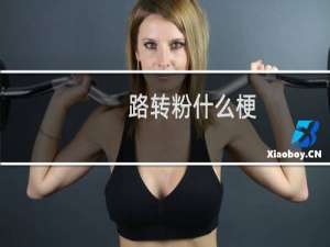 路转粉什么梗
