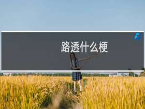 路透什么梗？什么梗