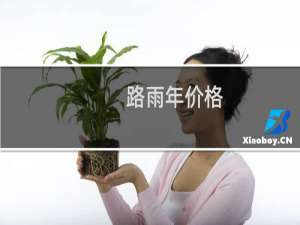 路雨年价格