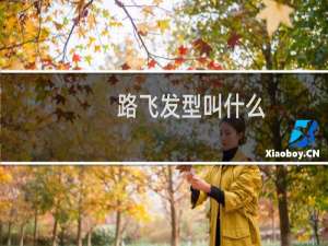 路飞发型叫什么