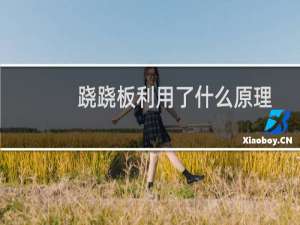 跷跷板利用了什么原理（跷跷板的工作原理是什么）