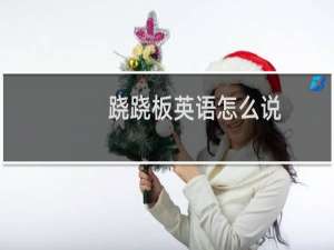 跷跷板英语怎么说