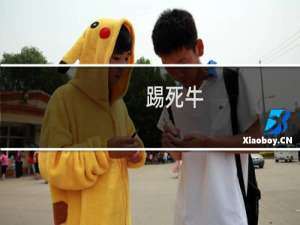 踢死牛（鞋）什么梗