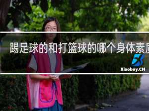 踢足球的和打篮球的哪个身体素质好