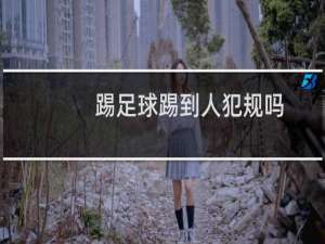 踢足球踢到人犯规吗