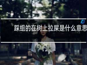 踩组的在树上拉屎是什么意思？什么梗