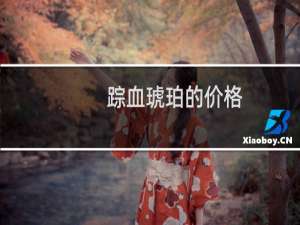 踪血琥珀的价格