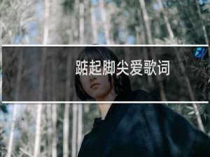 踮起脚尖爱歌词