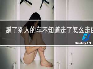 蹭了别人的车不知道走了怎么走保险