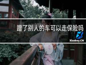 蹭了别人的车可以走保险吗