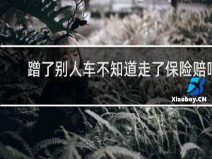 蹭了别人车不知道走了保险赔吗