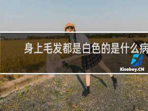 身上毛发都是白色的是什么病