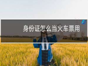 身份证怎么当火车票用