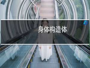 身体构造体（身体构造）