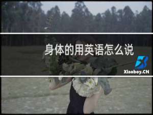 身体的用英语怎么说