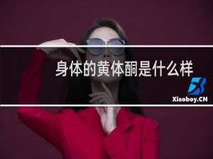 身体的黄体酮是什么样子的（黄体酮是什么样子的）