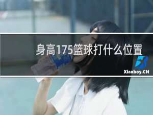 身高175篮球打什么位置
