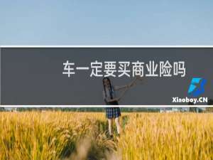 车一定要买商业险吗