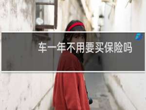 车一年不用要买保险吗