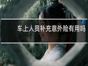 车上人员补充意外险有用吗