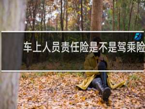 车上人员责任险是不是驾乘险