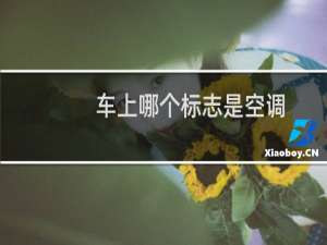 车上哪个标志是空调