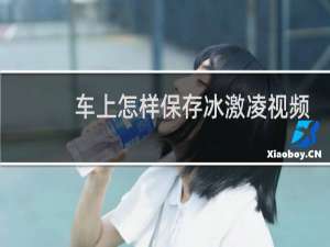 车上怎样保存冰激凌视频