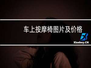 车上按摩椅图片及价格