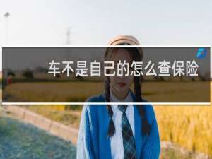 车不是自己的怎么查保险