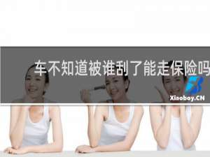 车不知道被谁刮了能走保险吗