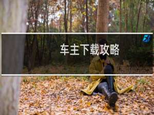 车主下载攻略