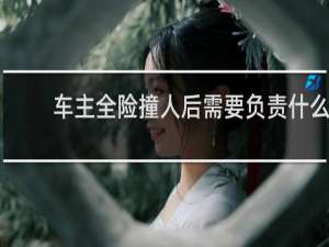 车主全险撞人后需要负责什么
