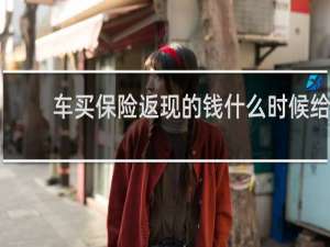 车买保险返现的钱什么时候给
