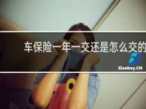车保险一年一交还是怎么交的