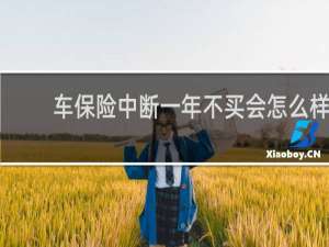 车保险中断一年不买会怎么样