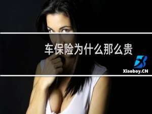 车保险为什么那么贵
