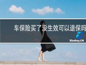 车保险买了没生效可以退保吗