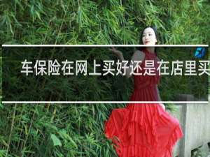 车保险在网上买好还是在店里买好