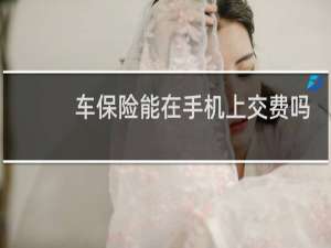 车保险能在手机上交费吗