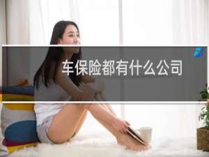 车保险都有什么公司