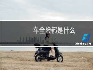 车全险都是什么