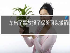 车出了事故报了保险可以撤销吗