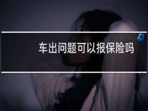 车出问题可以报保险吗