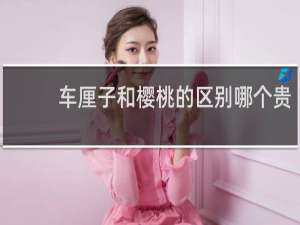 车厘子和樱桃的区别哪个贵