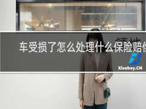 车受损了怎么处理什么保险赔偿