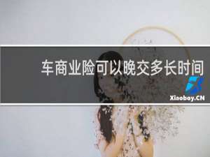 车商业险可以晚交多长时间